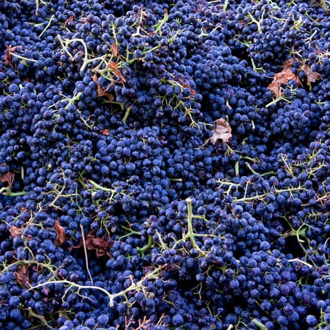 Episode 202-Stemmy, Wine Scores