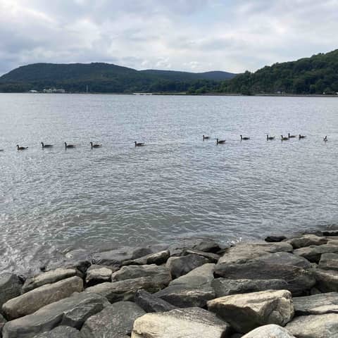 Caretakers Of God's Garden