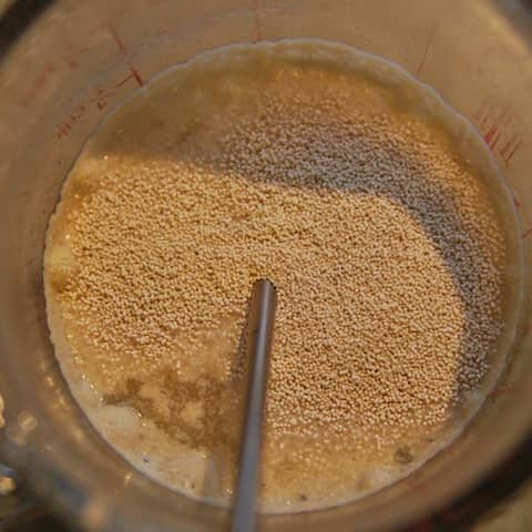 Episode 167-Yeast Bubby Etiquette