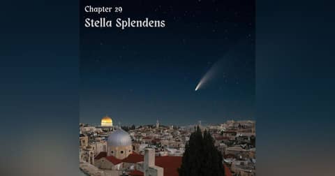 Chapter 29: Stella Splendens Chapter 29: Stella Splendens