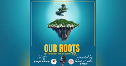 Our Roots: Only the Strongest Roots See the Light