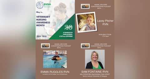 Sneak Preview - Vet Nursing Awareness Month