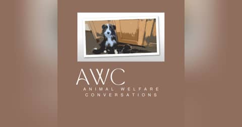 Animal Welfare Conversations