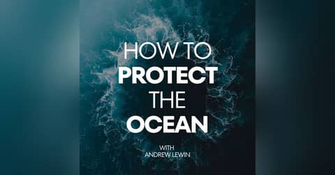 Ocean Startups Are Changing Conservation Faster Than Science Alone