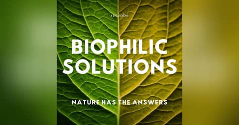 A podcast about the human connection to nature.