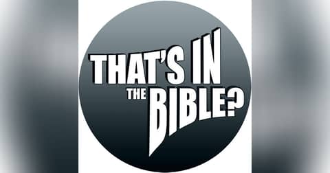 That's In The Bible?