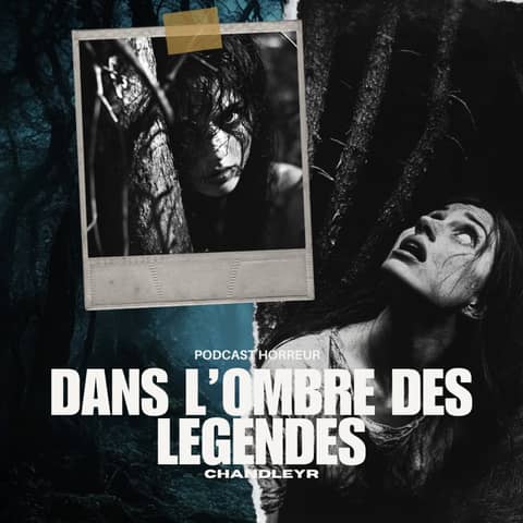 La Forêt de Brocéliande : Les Élèves Ont-Ils Vraiment Sacrifié Leur Professeur ?