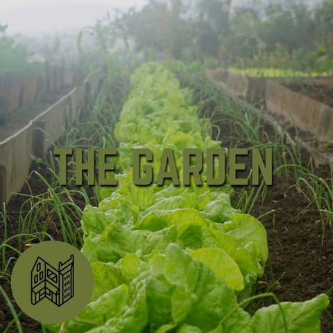 The Garden