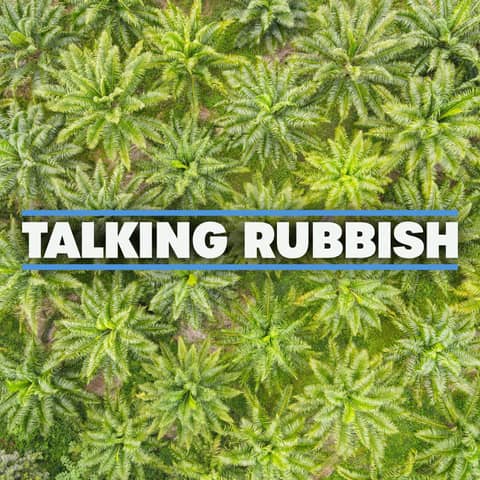 89. Is palm oil really that bad?