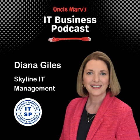 NSITSP Spotlight: Diana Giles, Skyline IT (EP 911)