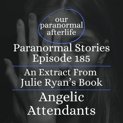 When the Dead Still Search: A Ghostly Makeshift Morgue