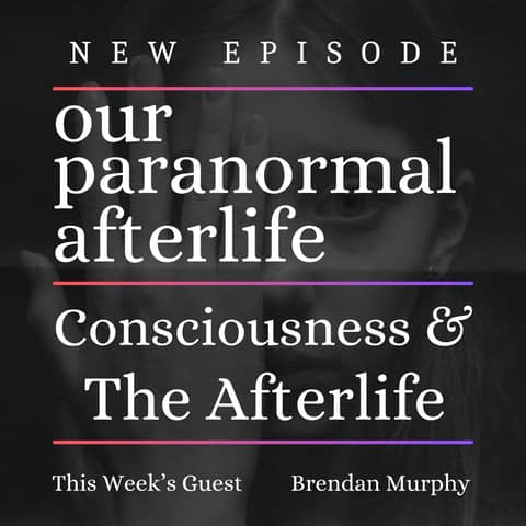 Consciousness & The Afterlife