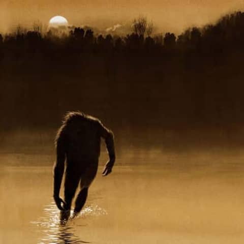 Boggy Creek Casebook: Fouke Monster Encounters 1908 to Present
