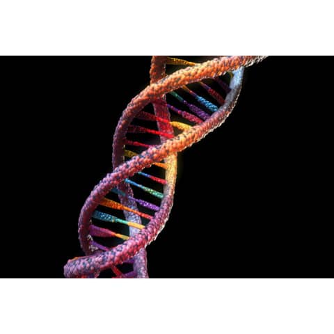 12-Strand DNA Activation