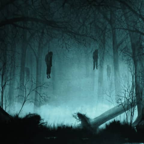 A Trip To Suicide Forest
