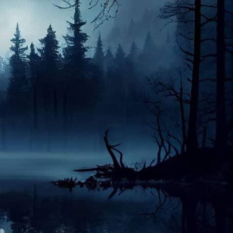 Haunted Shores