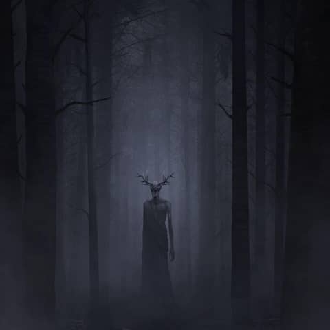 Strange Creature Sightings