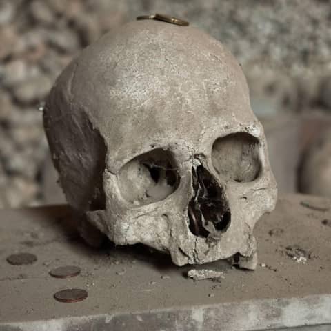 Brutalized Corpses