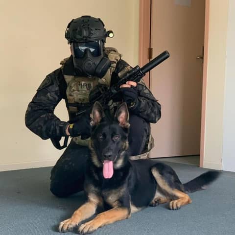 Steve Ditmars K9 Police Story