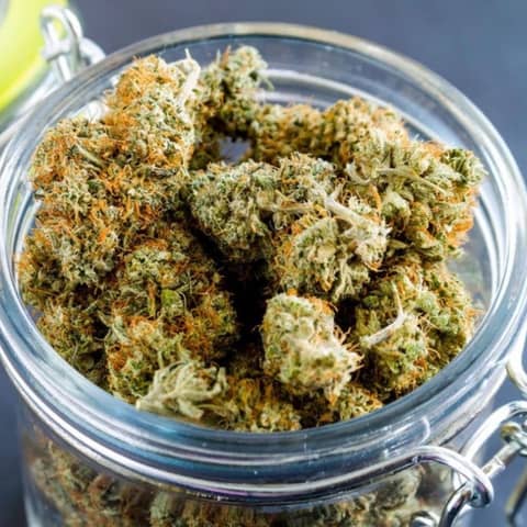 Cannabis in Spiritual Practice