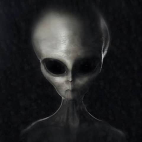 The Messengers: Owls, Synchronicity and the UFO Abductee