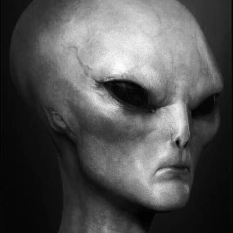 Different Alien Species - Part Two