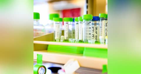 Two New Breakthroughs Advance Neurological Disorders and Cancer Research Two New Breakthroughs Advance Neurological Disorders and Cancer Research