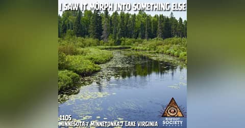 Minnesota Witness Saw a Shape-Shifting Bigfoot by Lake Virginia