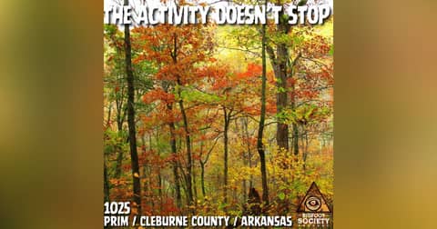 Living With Bigfoot in Rural Arkansas | Footprints, Sightings, and Ongoing Activity