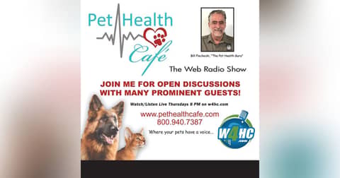 Skin and Ear Disease Issues in Your Pet