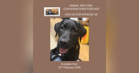 2026: New Animal welfare conversations