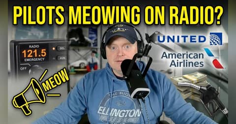 MEOW! Chaos on Guard & The Airline Merger Madness MEOW! Chaos on Guard & The Airline Merger Madness