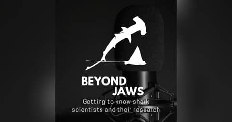 Beyond Jaws