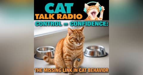 Control = Confidence: The Missing Link in Cat Behavior Control = Confidence: The Missing Link in Cat Behavior