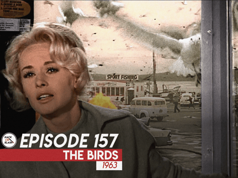 157: The Birds (1963)