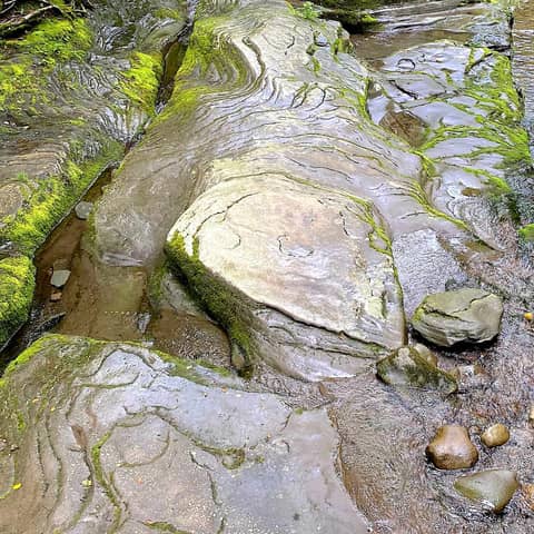 Going With the Flow: Dany Davis, Catskill Streams, and the Long Way Home