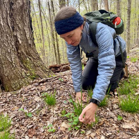 Heather Houskeeper, the Botanical Hiker: Plants, Trails, and Belonging