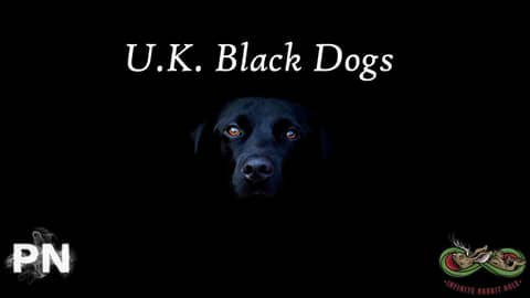 Black Shuck and other British Black Dogs w/ Adam of the TFTAK Podcast