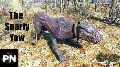 Snarly Yow w/ Sarah Cooper of the American Snallygaster Museum