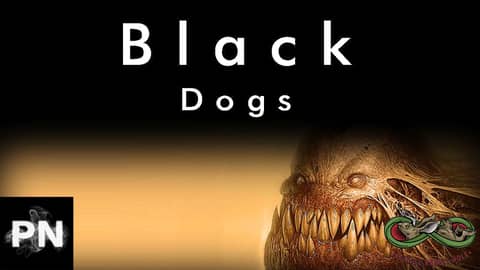 Phantom Black Dogs Part 1.5