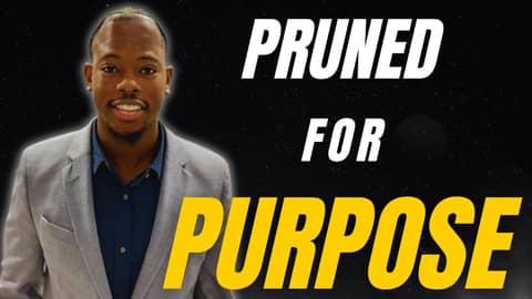 282. Pruned for Purpose, Part 1