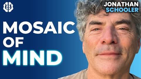What is Consciousness? Nested Observer Windows, Meta-Awareness & Mind Wandering | Jonathan Schooler