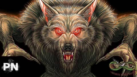 Phantom Black Dogs Part 1