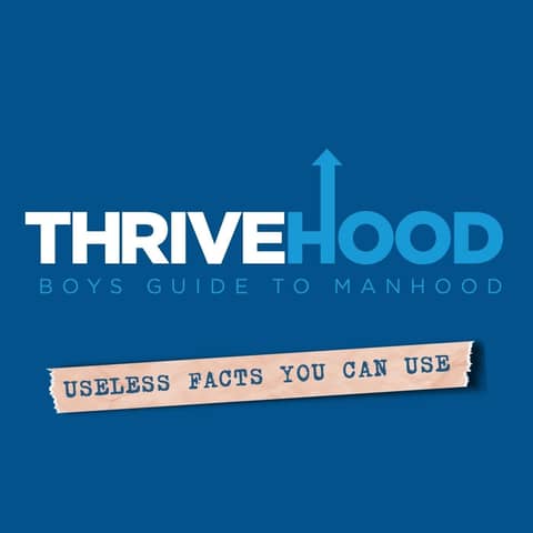 UFYCU:  How Strong Are Human Bones?