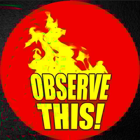 Observe This! - The beginning of Flair/Funk | Hogan vs. Bossman (steel cage) | Zeus is coming