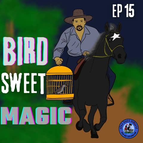 Bird Sweet Magic