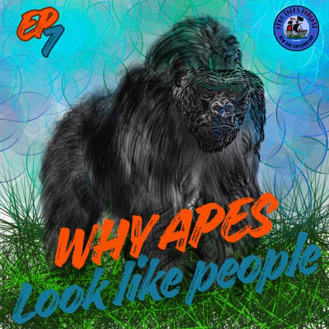 Why Apes Look Like People