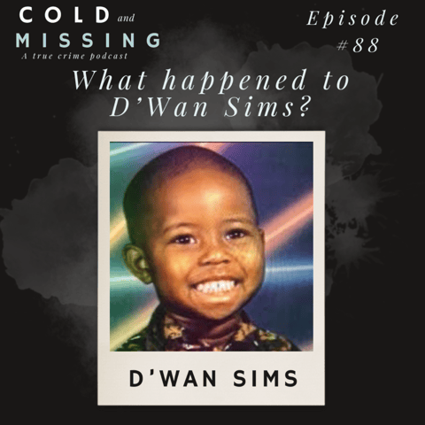 Cold and Missing: D’Wan Sims