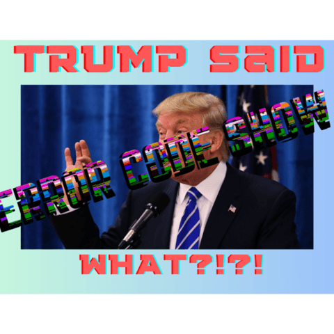 What did TRUMP say now?!? - Error 406 - Error Code Show