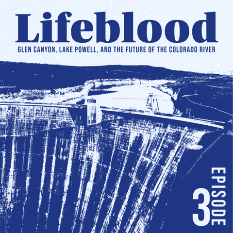 Glen Canyon: A Cathedral Drowned